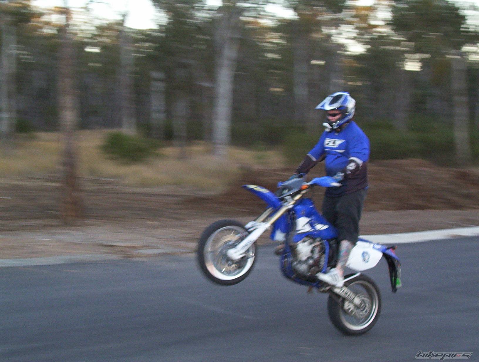 2004 YAMAHA WR450 | Picture 245403 motorcycle photo