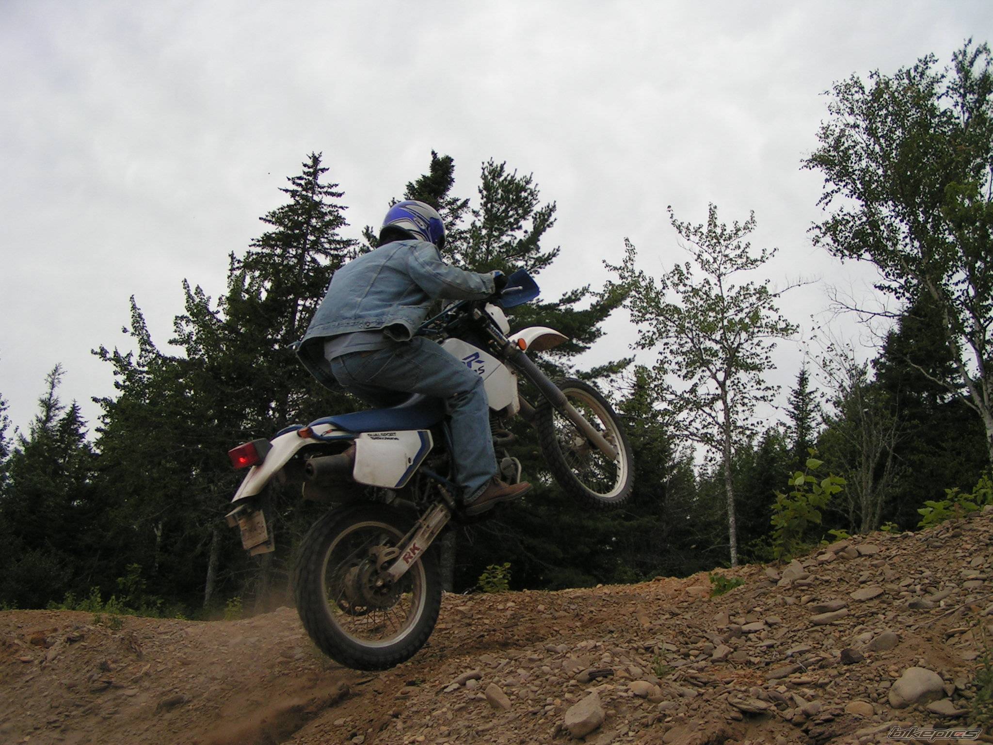 1991 SUZUKI DR 350 | Picture 245415 motorcycle photo