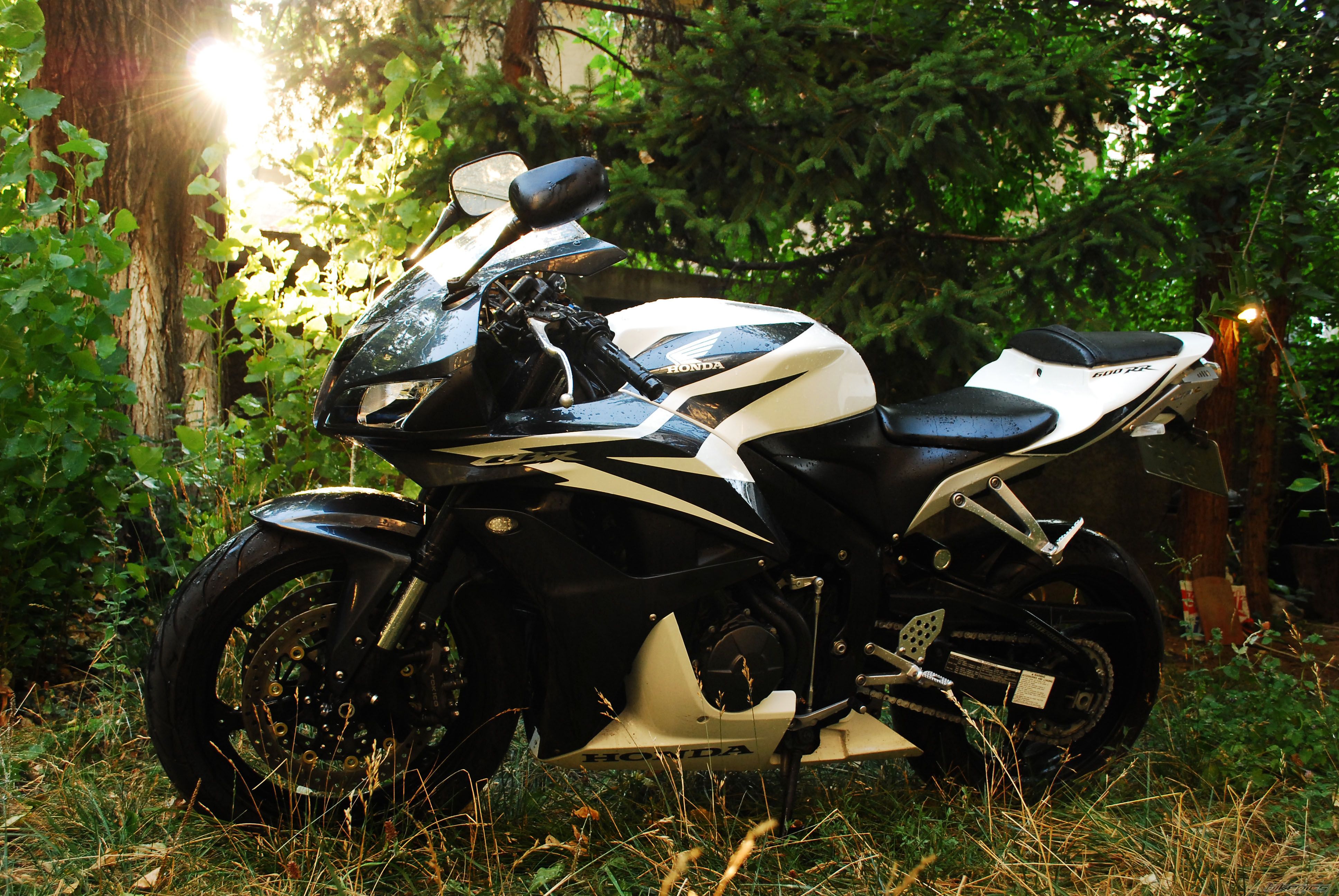 2007 HONDA CBR 600 RR | Picture 2455057 motorcycle photo