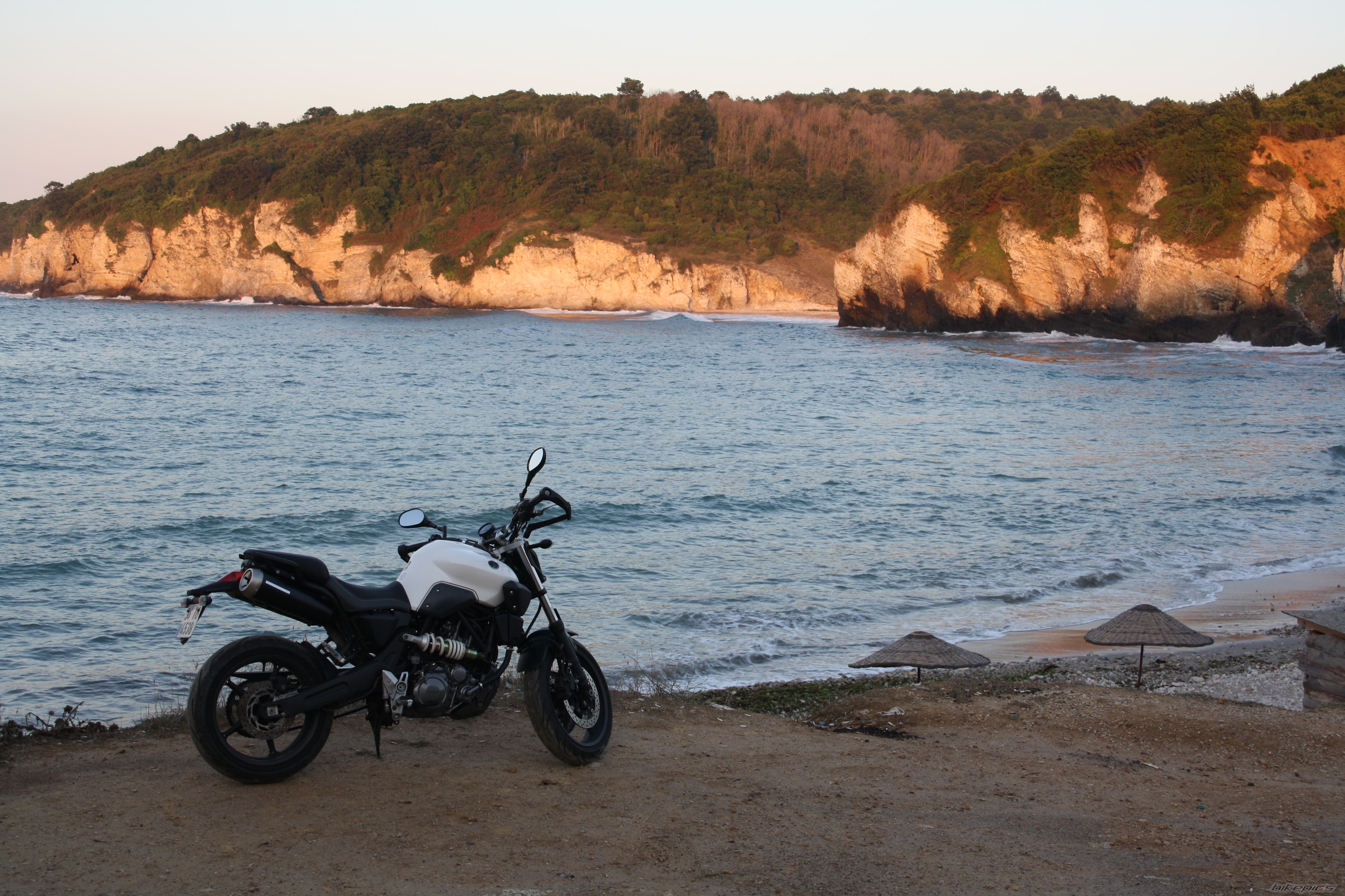 2008 YAMAHA MT 03 | Picture 2455065 motorcycle photo