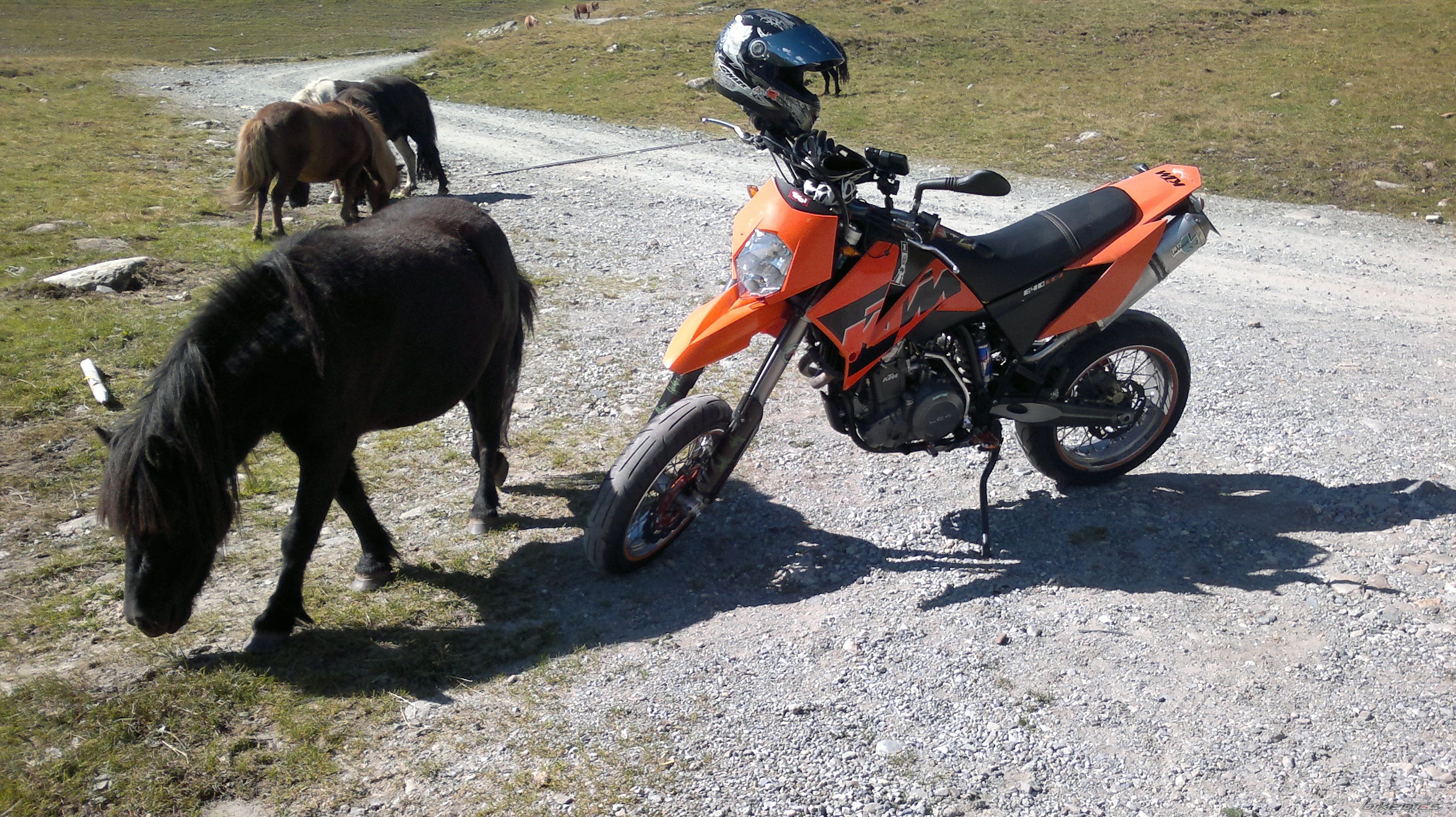 2006 KTM 640 LC4 | Picture 2455401 motorcycle photo