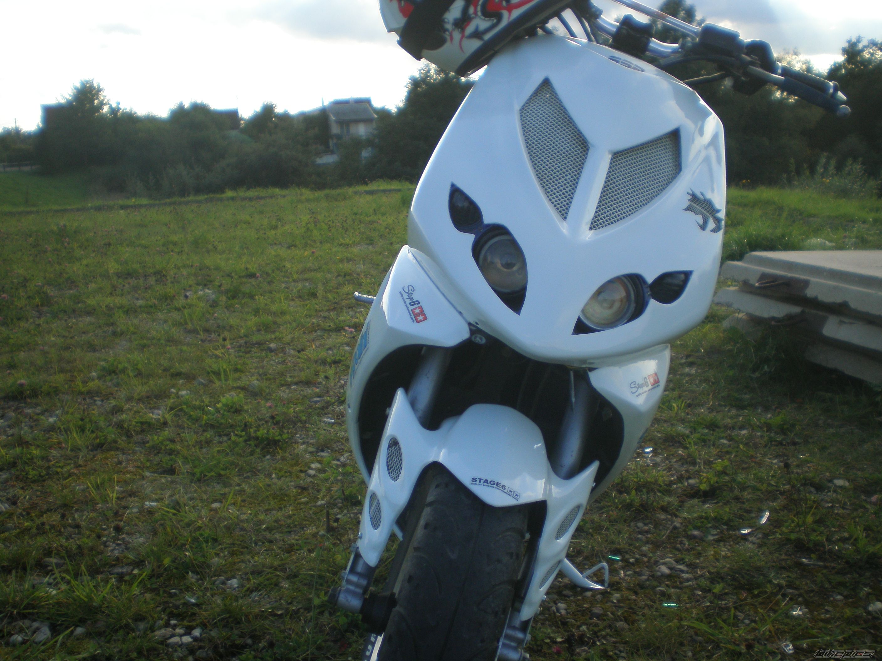 2005 PEUGEOT SPEEDFIGHT2 50 | Picture 2455540 motorcycle photo