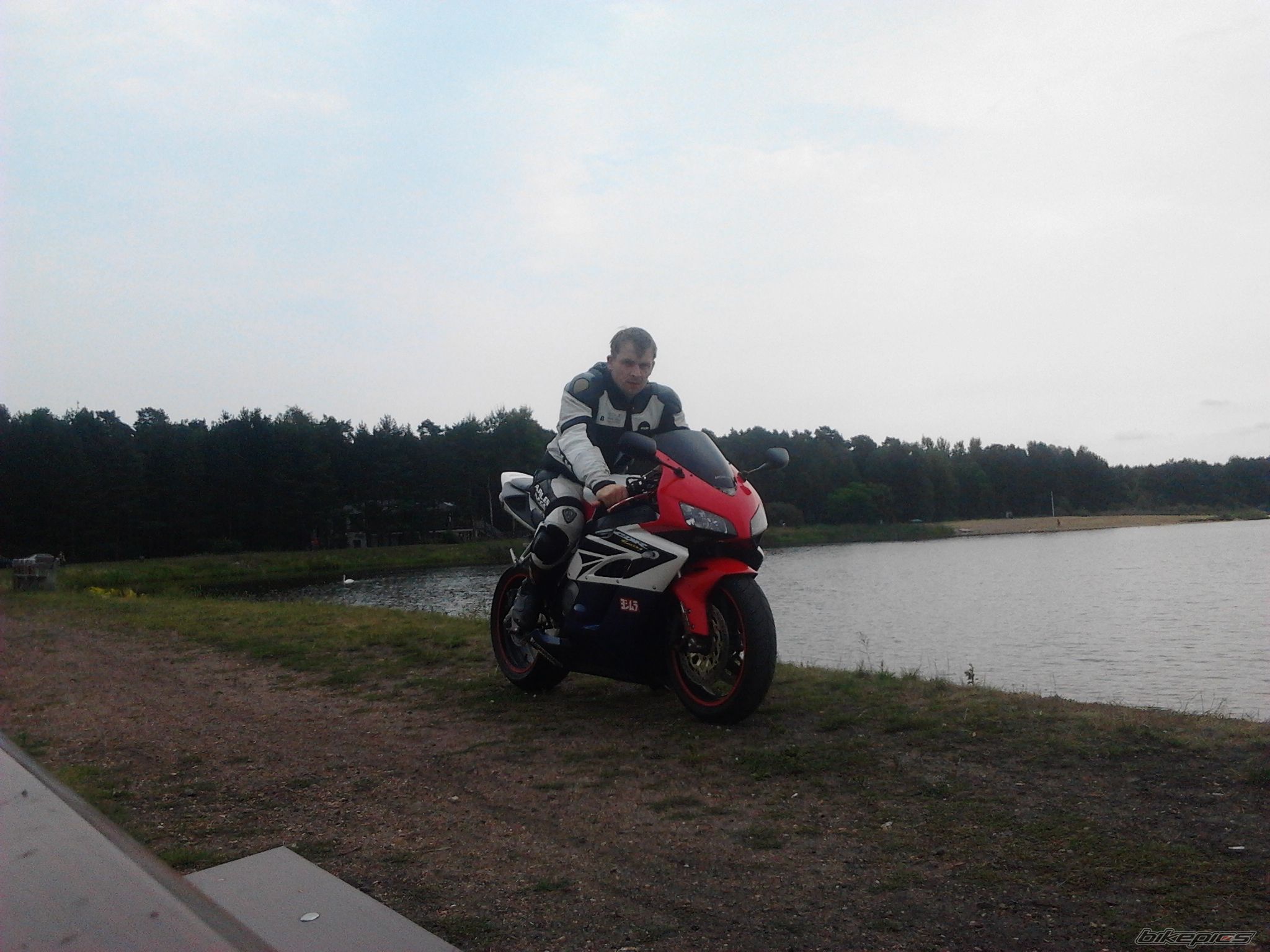 2004 HONDA CBR 1000  RR | Picture 2456632 motorcycle photo