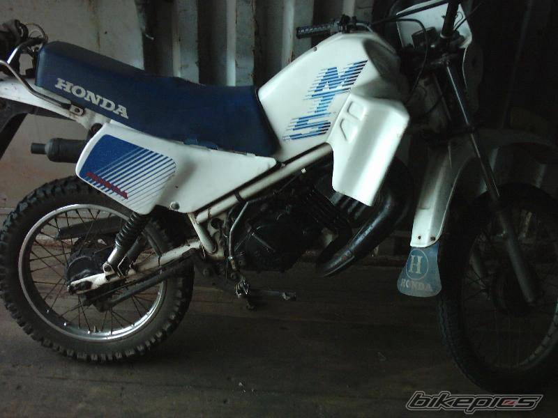 1987 HONDA MT5 | Picture 245772 motorcycle photo