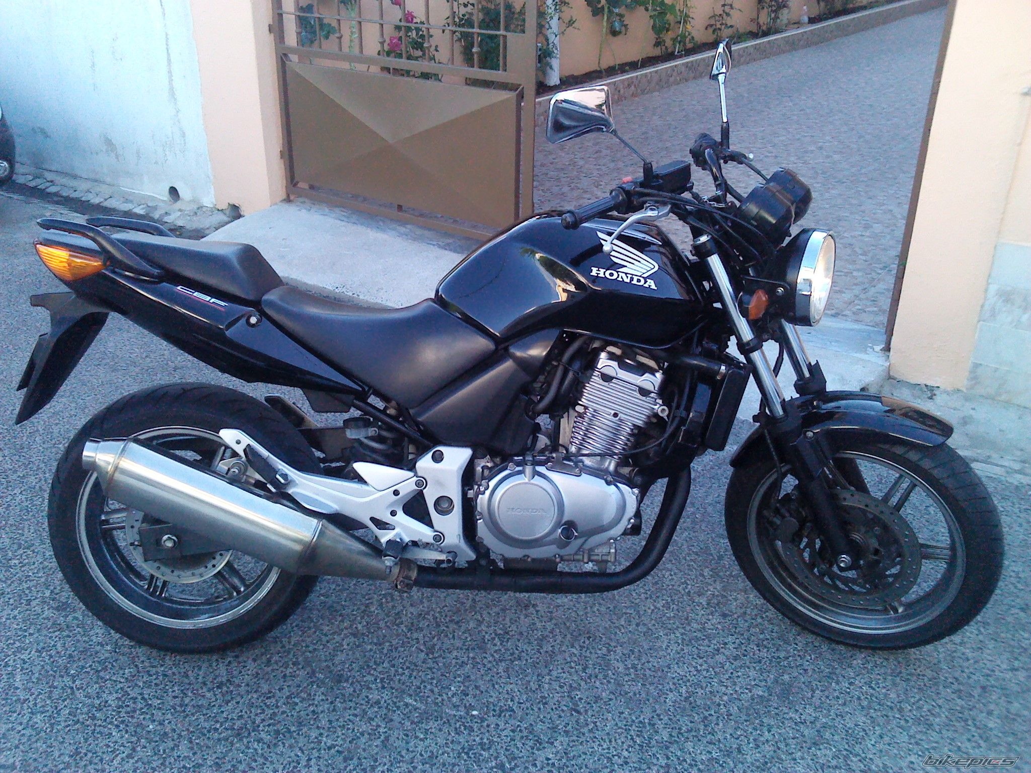 2004 HONDA CBF 500 | Picture 2457822 motorcycle photo