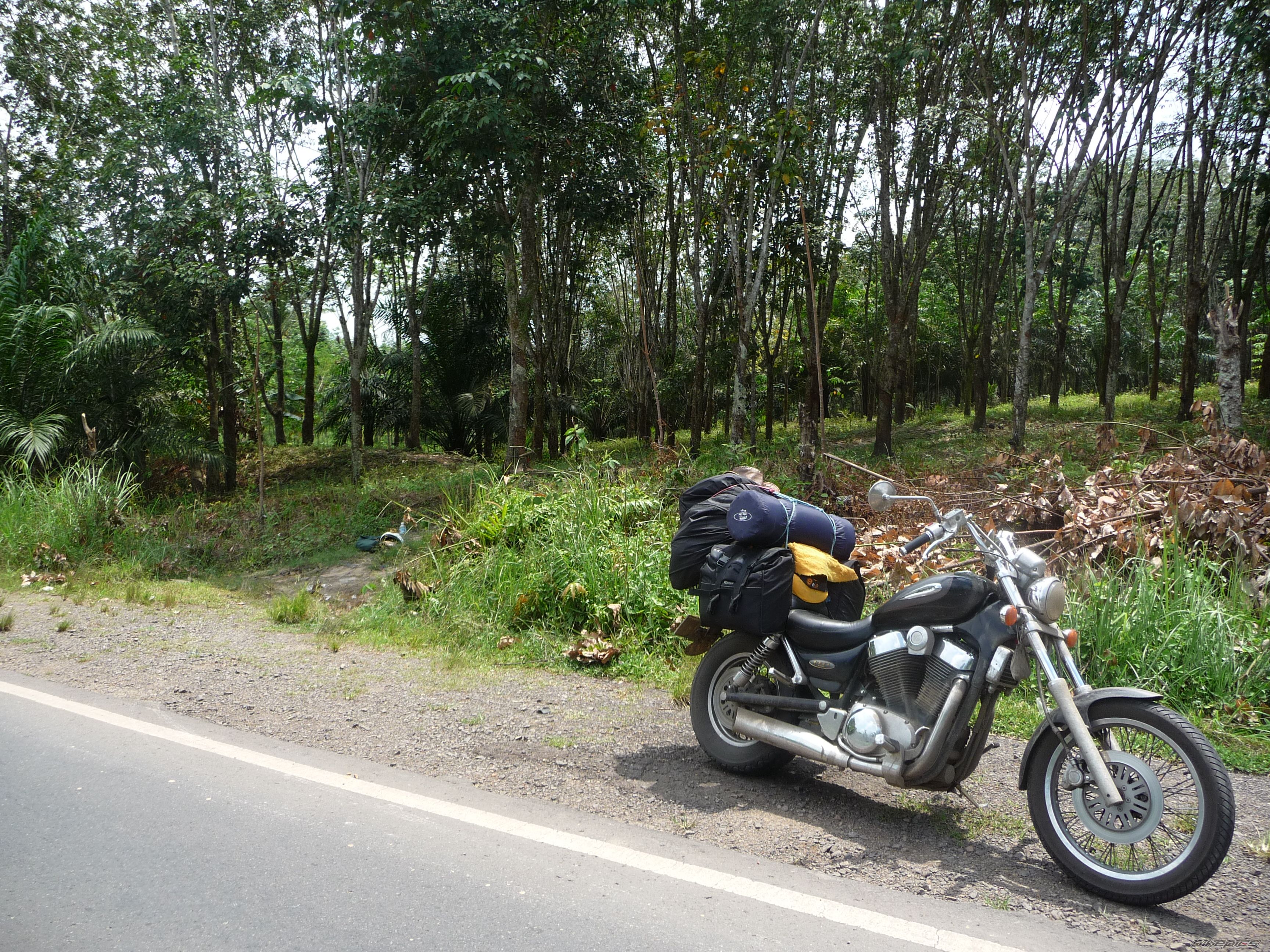 1998 SUZUKI INTRUDER 1400 | Picture 2458124 motorcycle photo