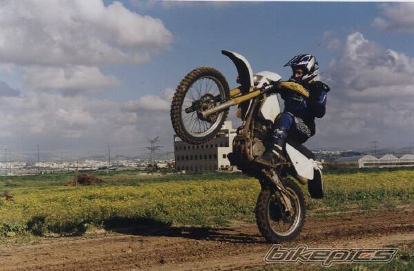 1991 SUZUKI DR 350 | Picture 245835 motorcycle photo