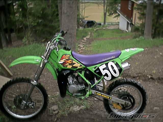 1995 KAWASAKI KX 100 | Picture 24585 motorcycle photo