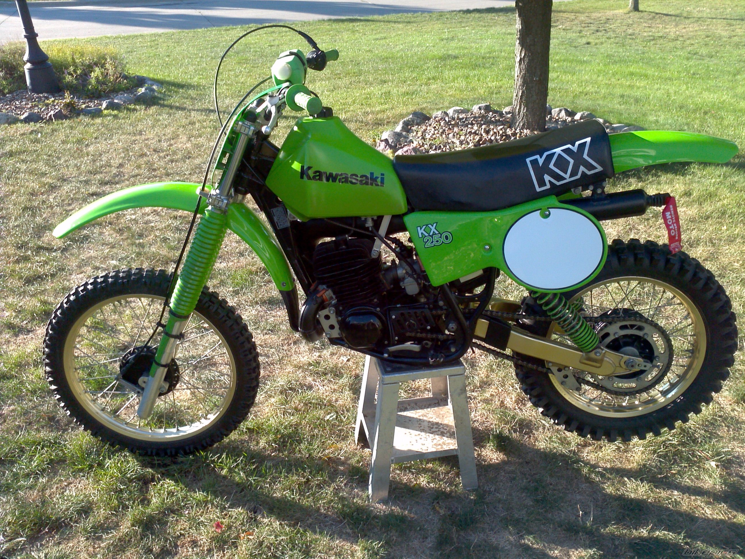 1979 KAWASAKI KX 250 | Picture 2458744 motorcycle photo