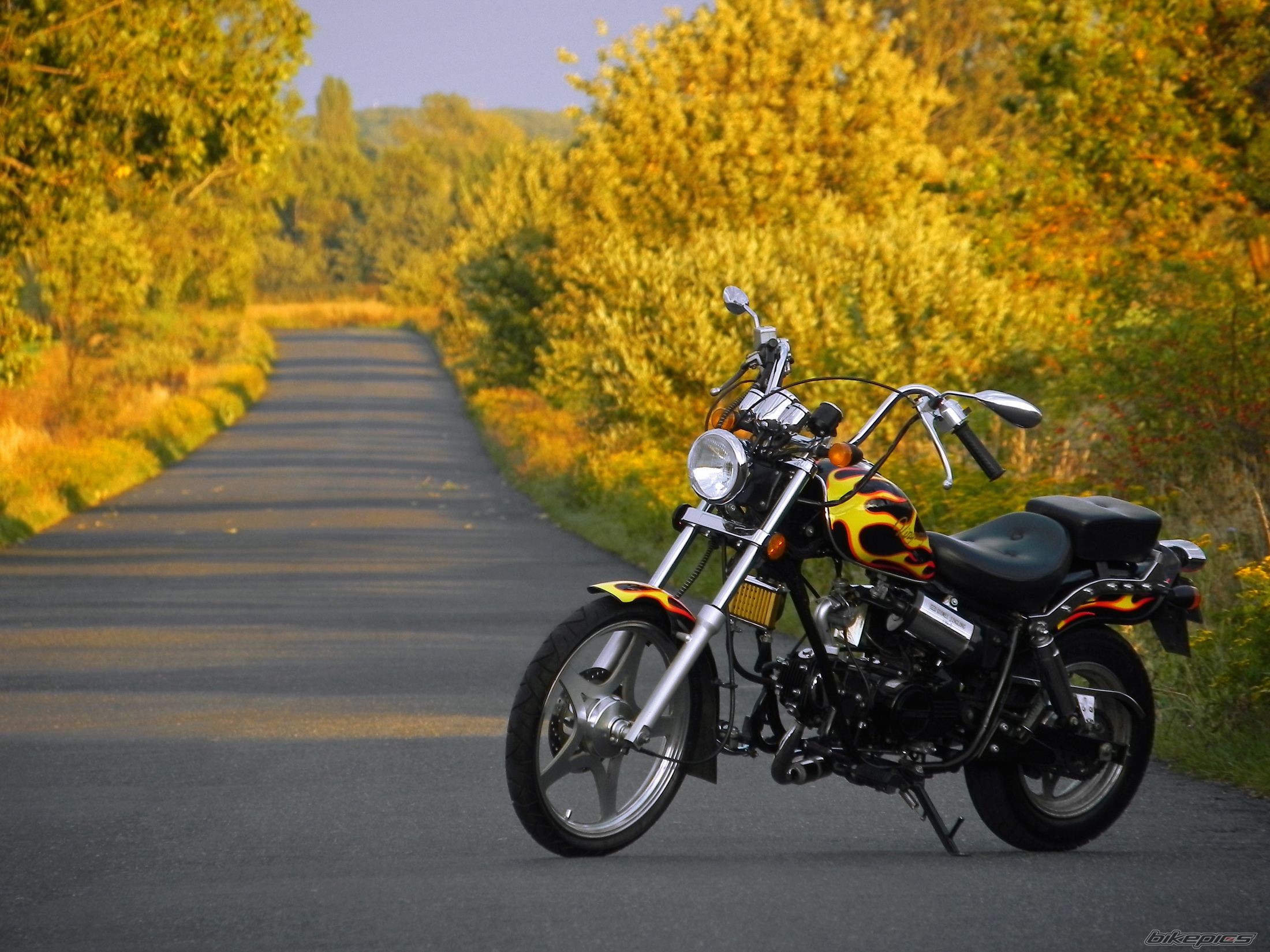 2009 KINGWAY CHOPPER | Picture 2458795 motorcycle photo