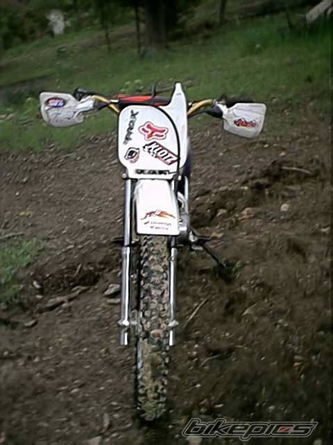 1994 HONDA XR 100 | Picture 24594 motorcycle photo