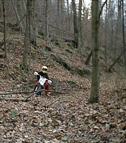 1994 HONDA XR 100 | Picture 24595 motorcycle photo