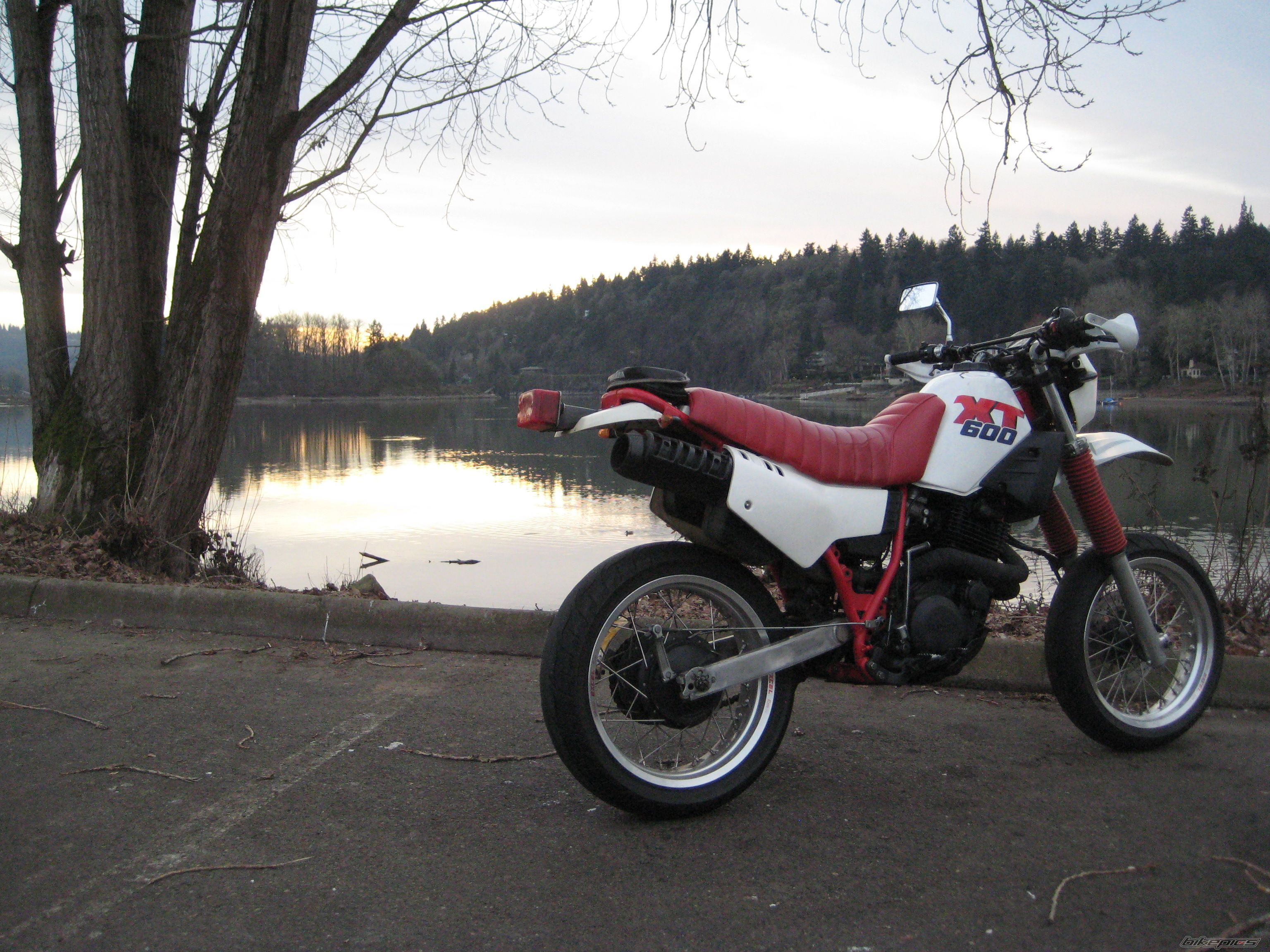 1988 YAMAHA XT 600 | Picture 2461224 motorcycle photo