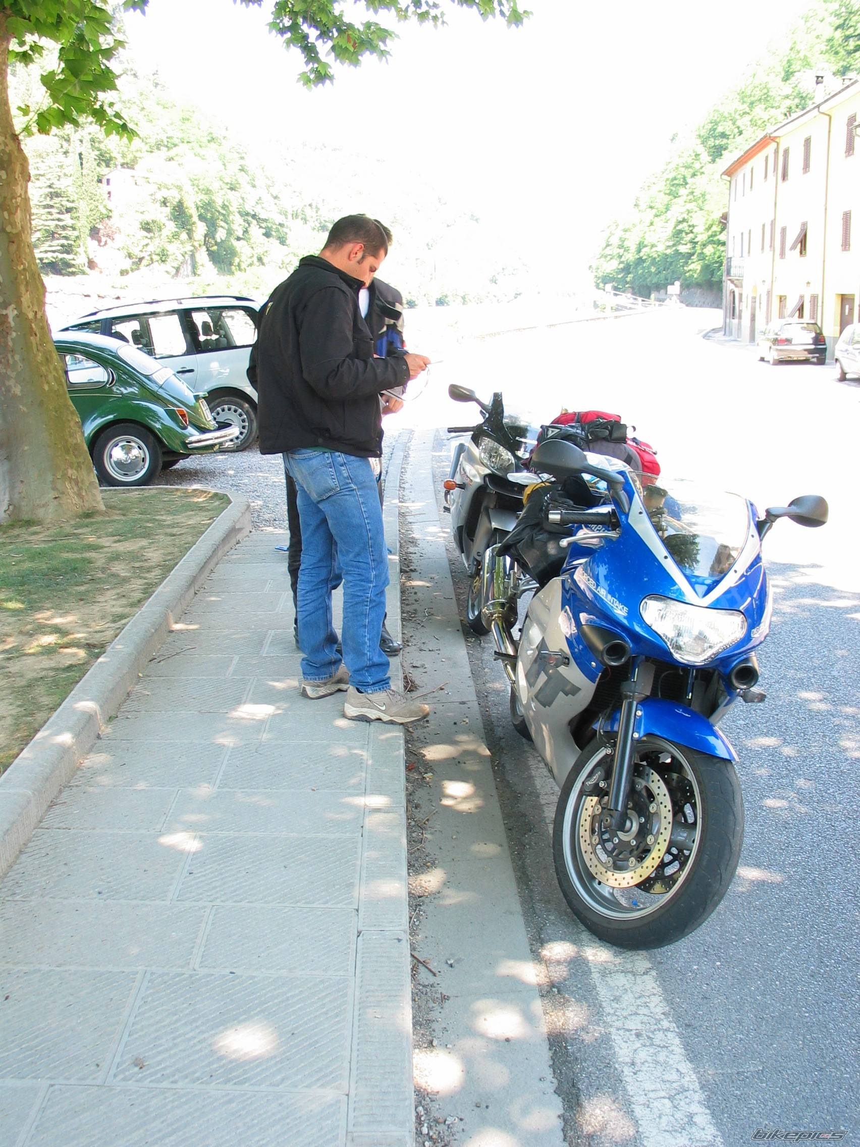2002 TRIUMPH TT 600 | Picture 246151 motorcycle photo