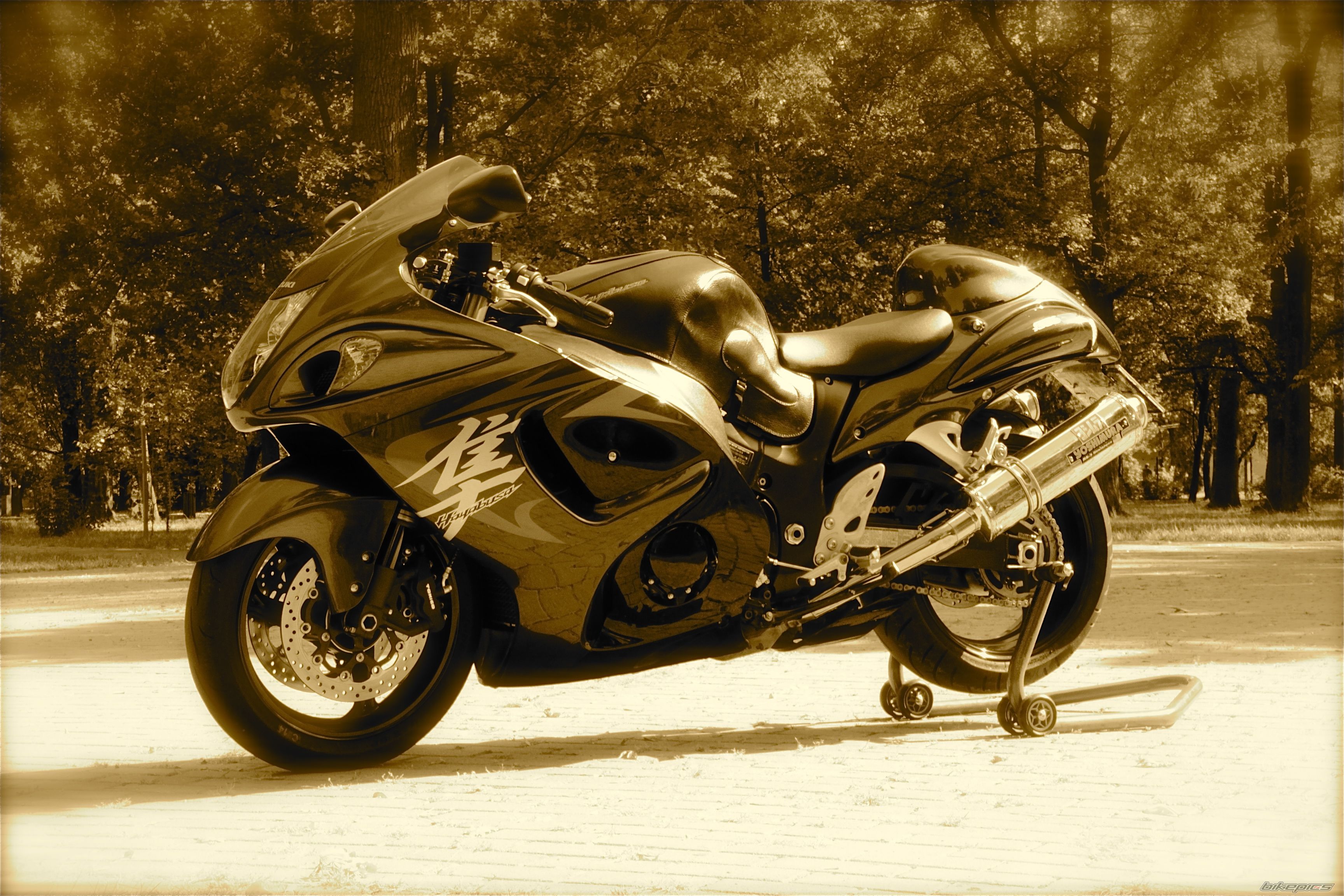2008 SUZUKI HAYABUSA | Picture 2461721 motorcycle photo