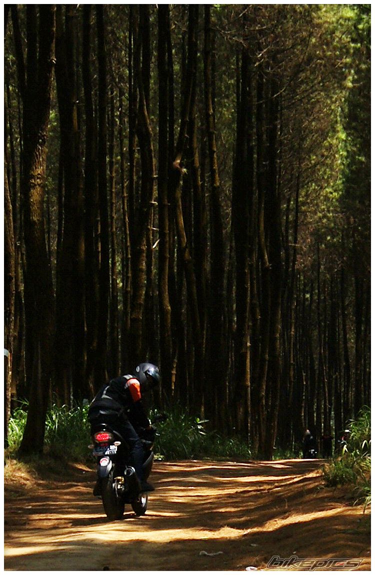 2010 YAMAHA VIXION | Picture 2462084 motorcycle photo