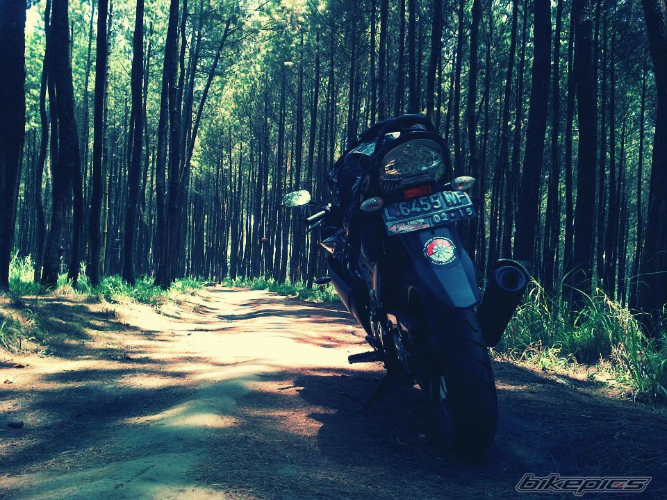 2010 YAMAHA VIXION | Picture 2462085 motorcycle photo