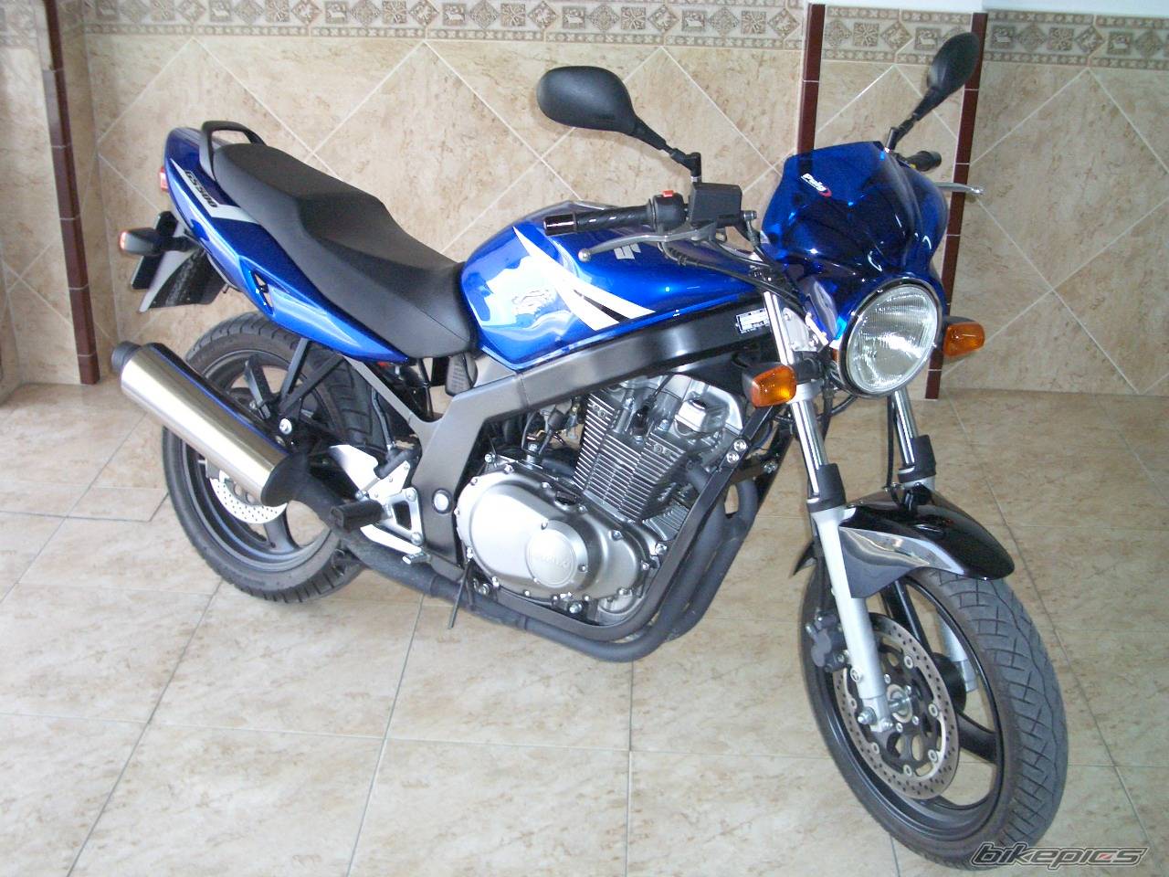 2004 SUZUKI GS 500 | Picture 246225 motorcycle photo