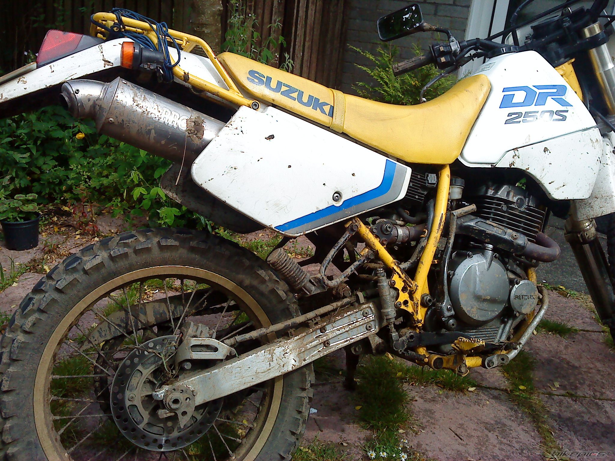 1994 SUZUKI DR 250 | Picture 2462268 motorcycle photo