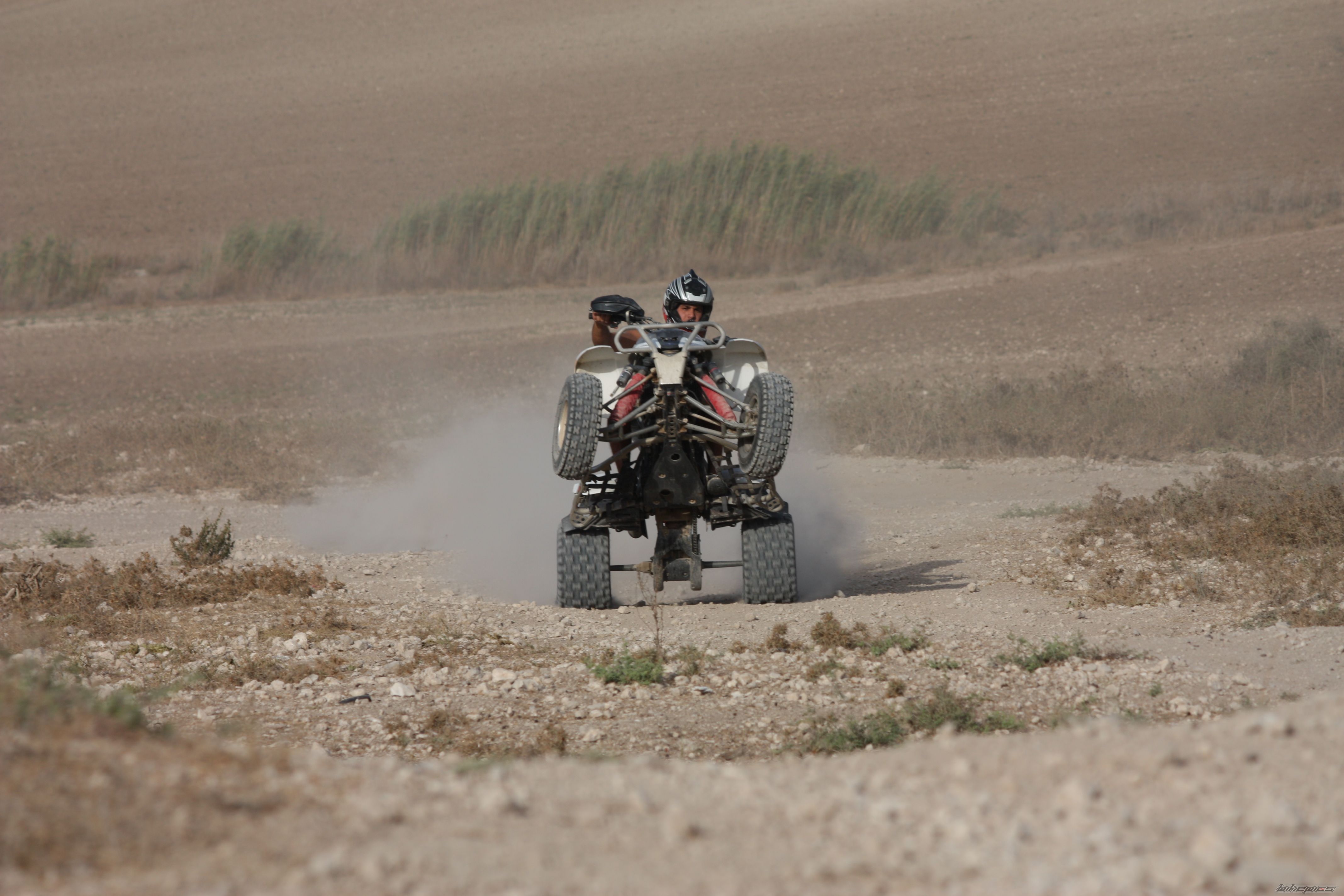 2006 POLARIS PREDATOR 500 | Picture 2462649 motorcycle photo