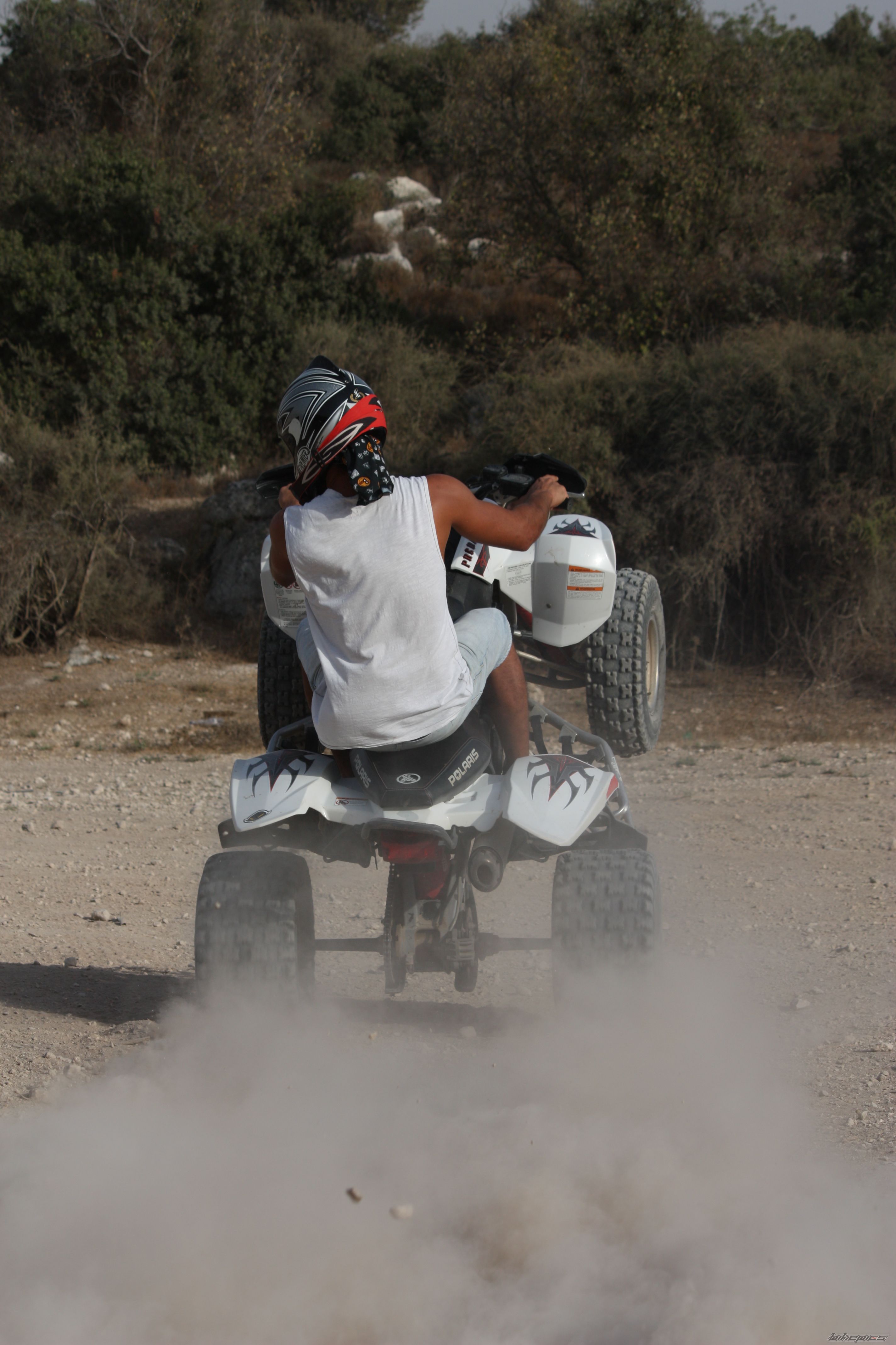 2006 POLARIS PREDATOR 500 | Picture 2462655 motorcycle photo