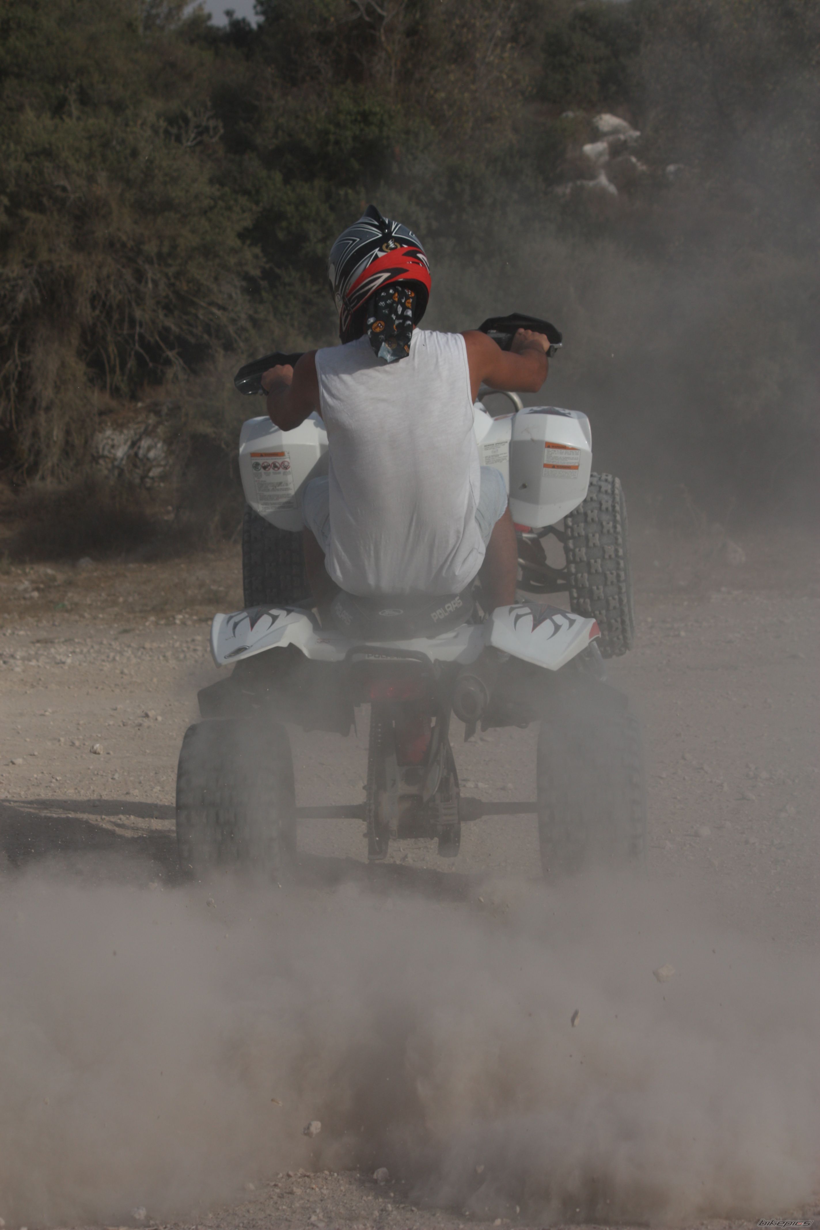 2006 POLARIS PREDATOR 500 | Picture 2462658 motorcycle photo