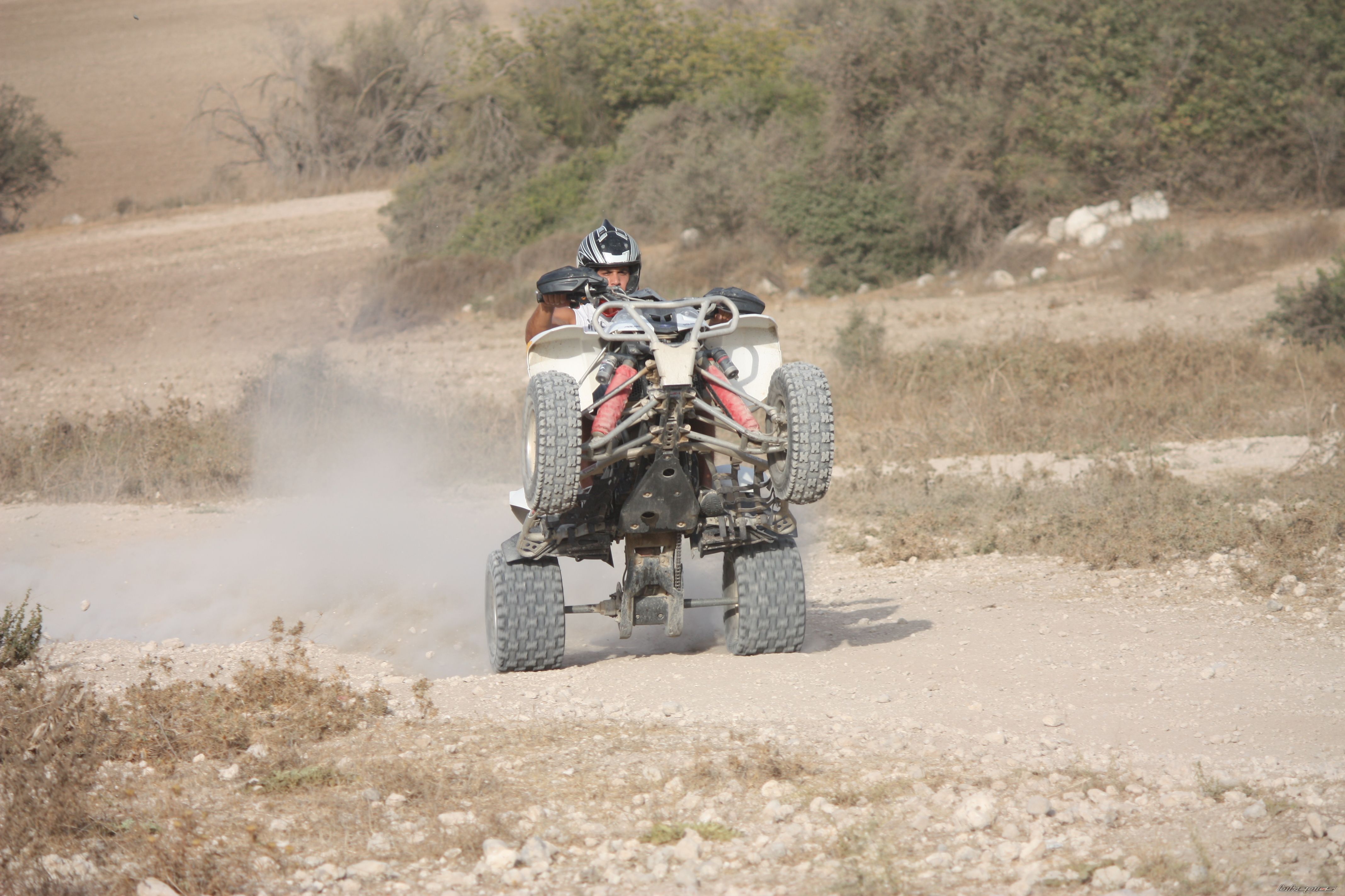 2006 POLARIS PREDATOR 500 | Picture 2462685 motorcycle photo