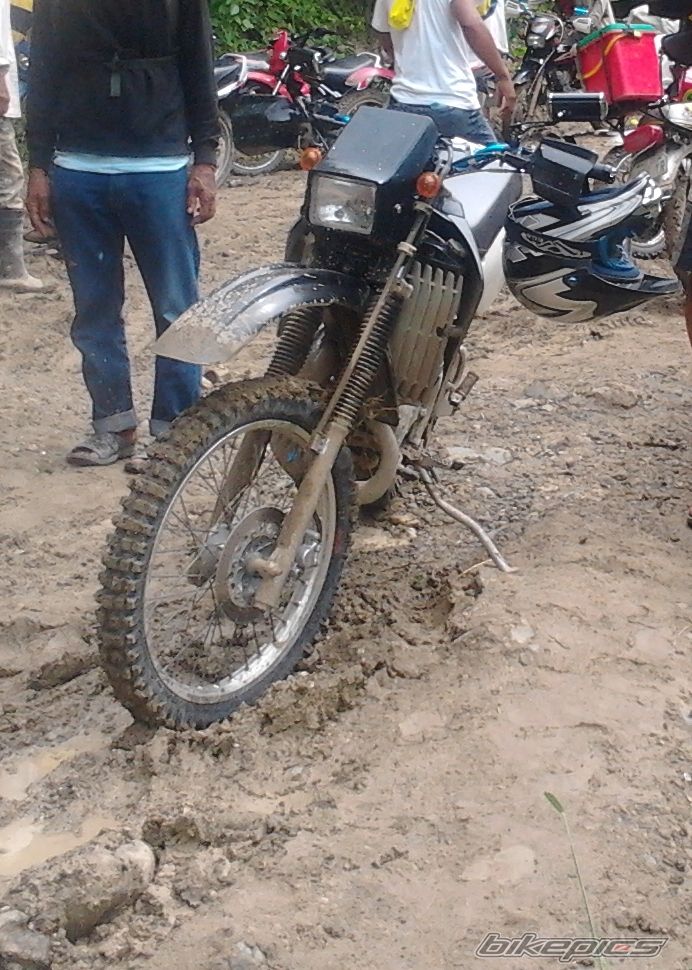 2004 KAWASAKI KMX 125 | Picture 2462885 motorcycle photo