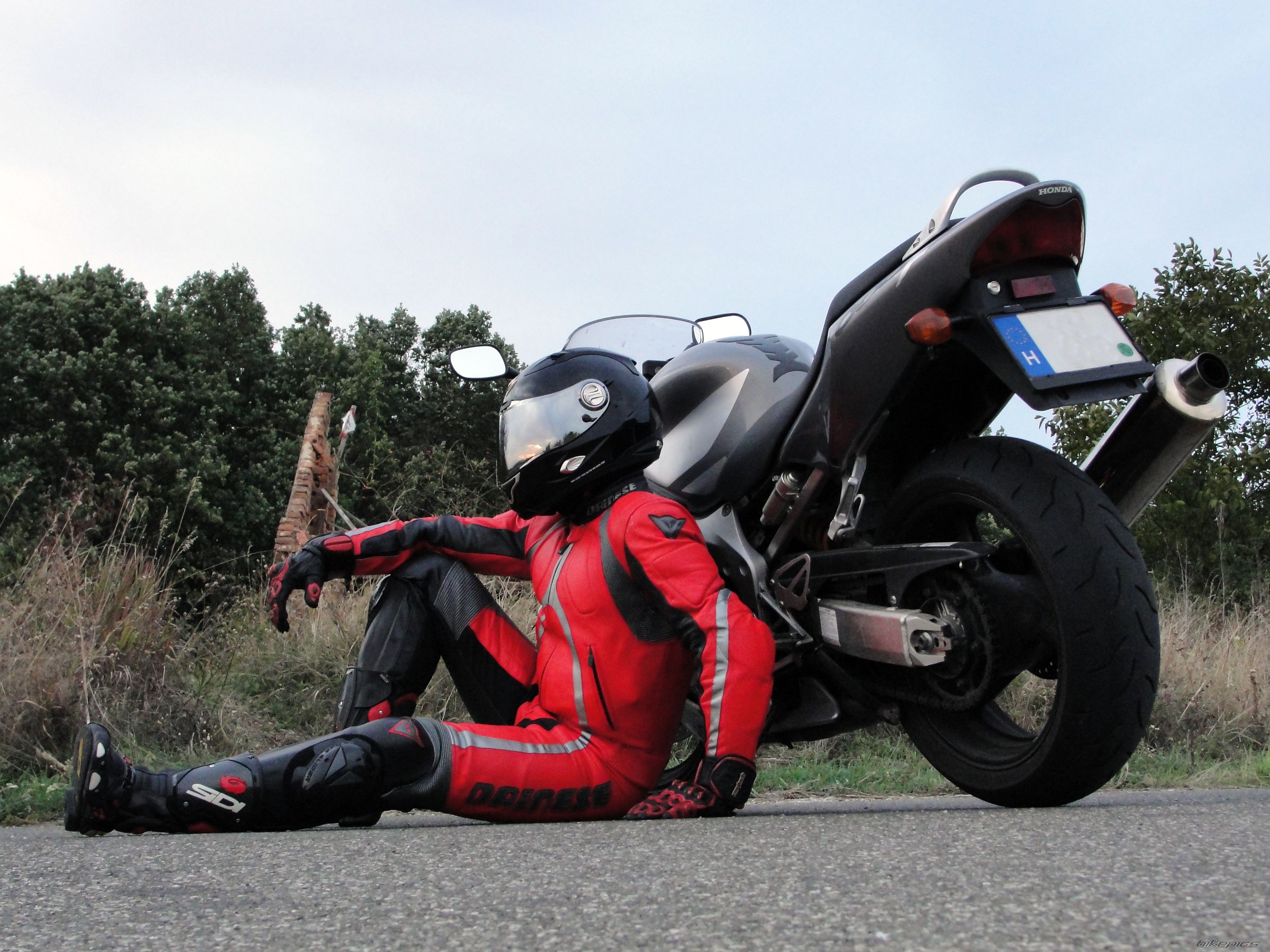2005 HONDA CBR 600 F4 | Picture 2463316 motorcycle photo