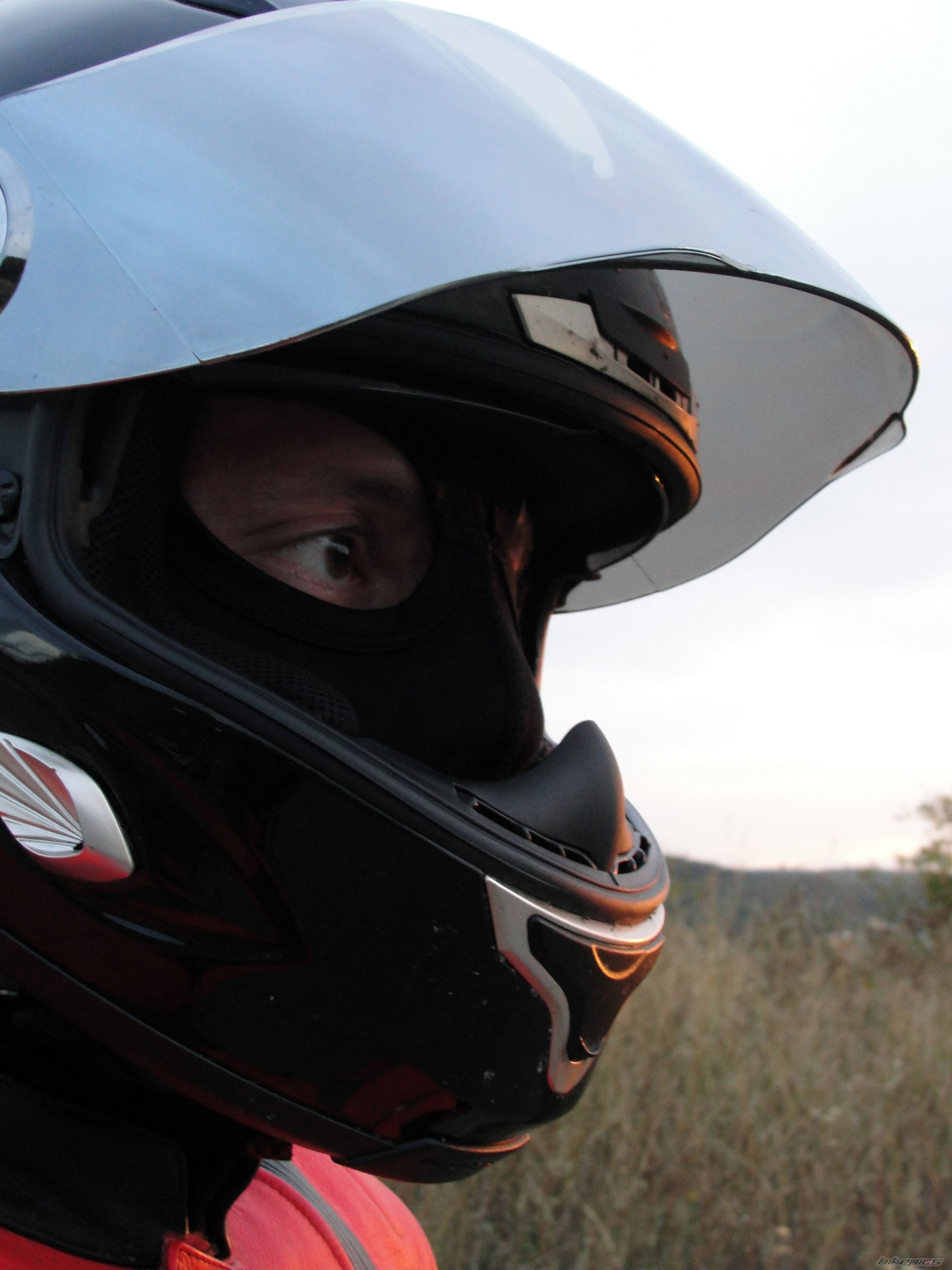 2005 HONDA CBR 600 F4 | Picture 2463325 motorcycle photo