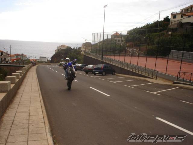 2004 YAMAHA WR450 | Picture 246411 motorcycle photo