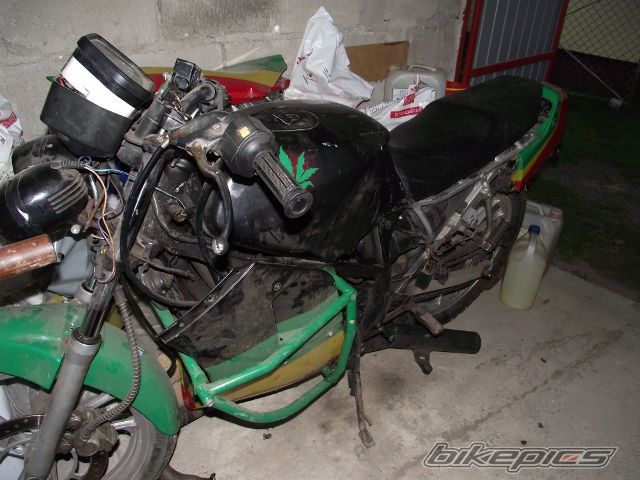 1991 SUZUKI RG 80 | Picture 2464227 motorcycle photo