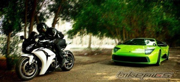 2009 HONDA CBR 1000  RR | Picture 2464230 motorcycle photo