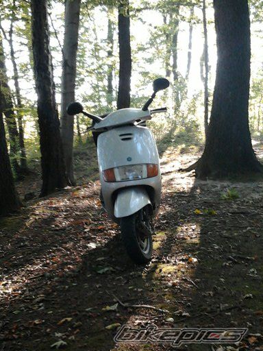 2009 PIAGGIO SFERA 125 | Picture 2464819 motorcycle photo