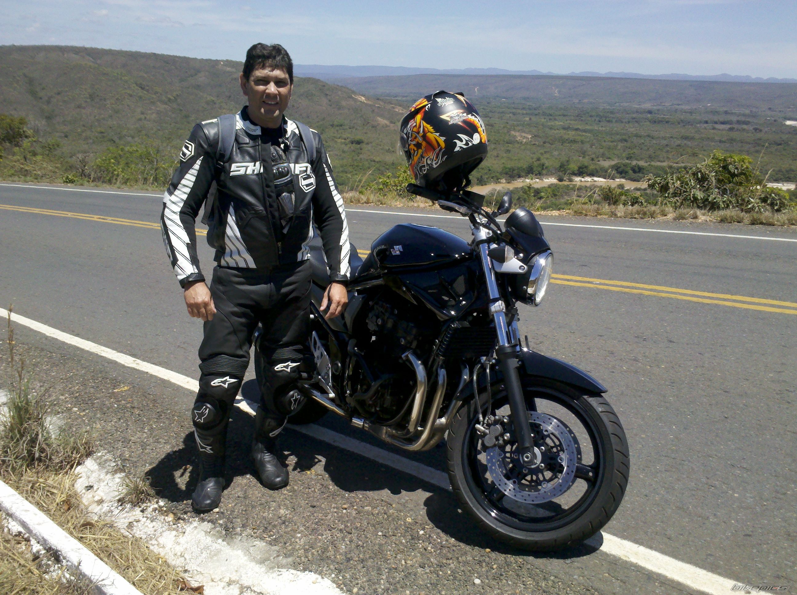 2008 SUZUKI BANDIT 650 | Picture 2465155 motorcycle photo