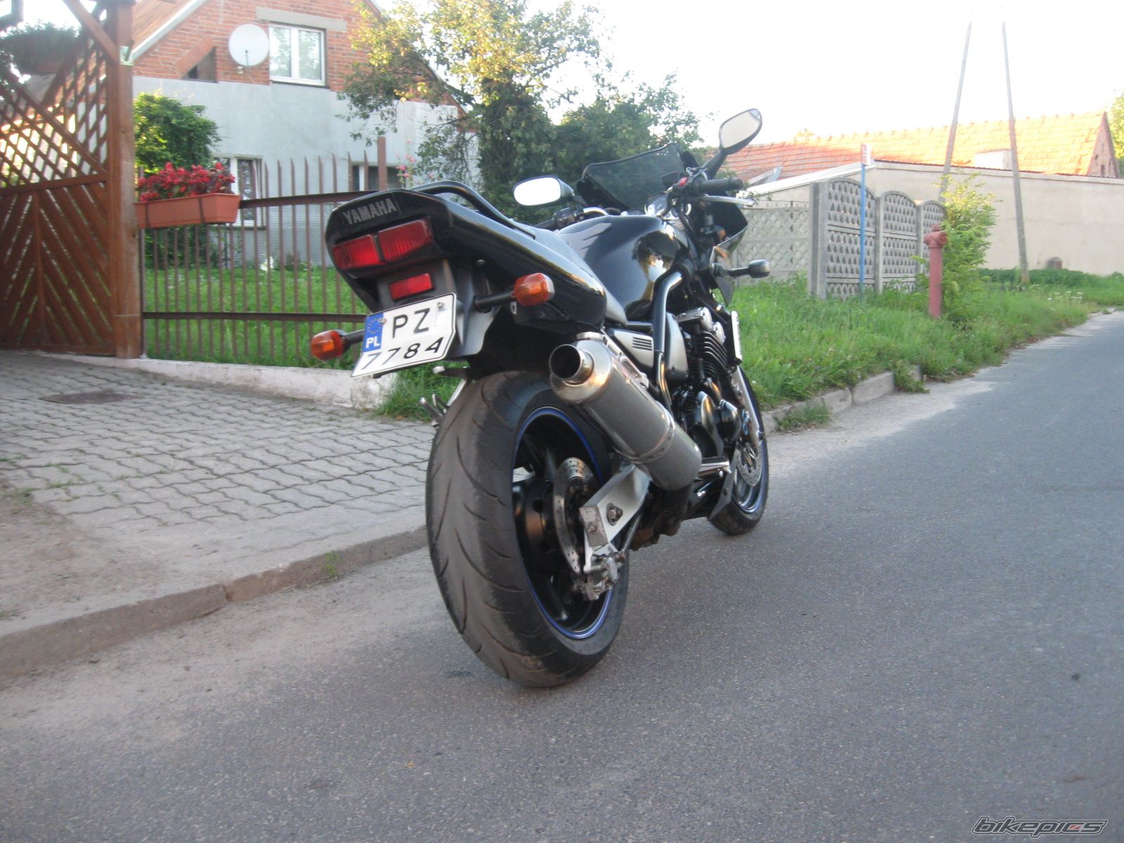1999 YAMAHA FZS 600 FAZER | Picture 2465194 motorcycle photo