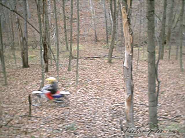 1994 HONDA XR 100 | Picture 24652 motorcycle photo