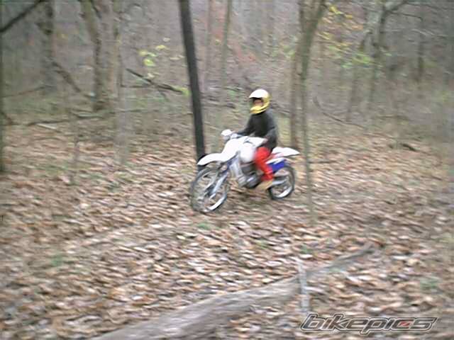 1994 HONDA XR 100 | Picture 24653 motorcycle photo