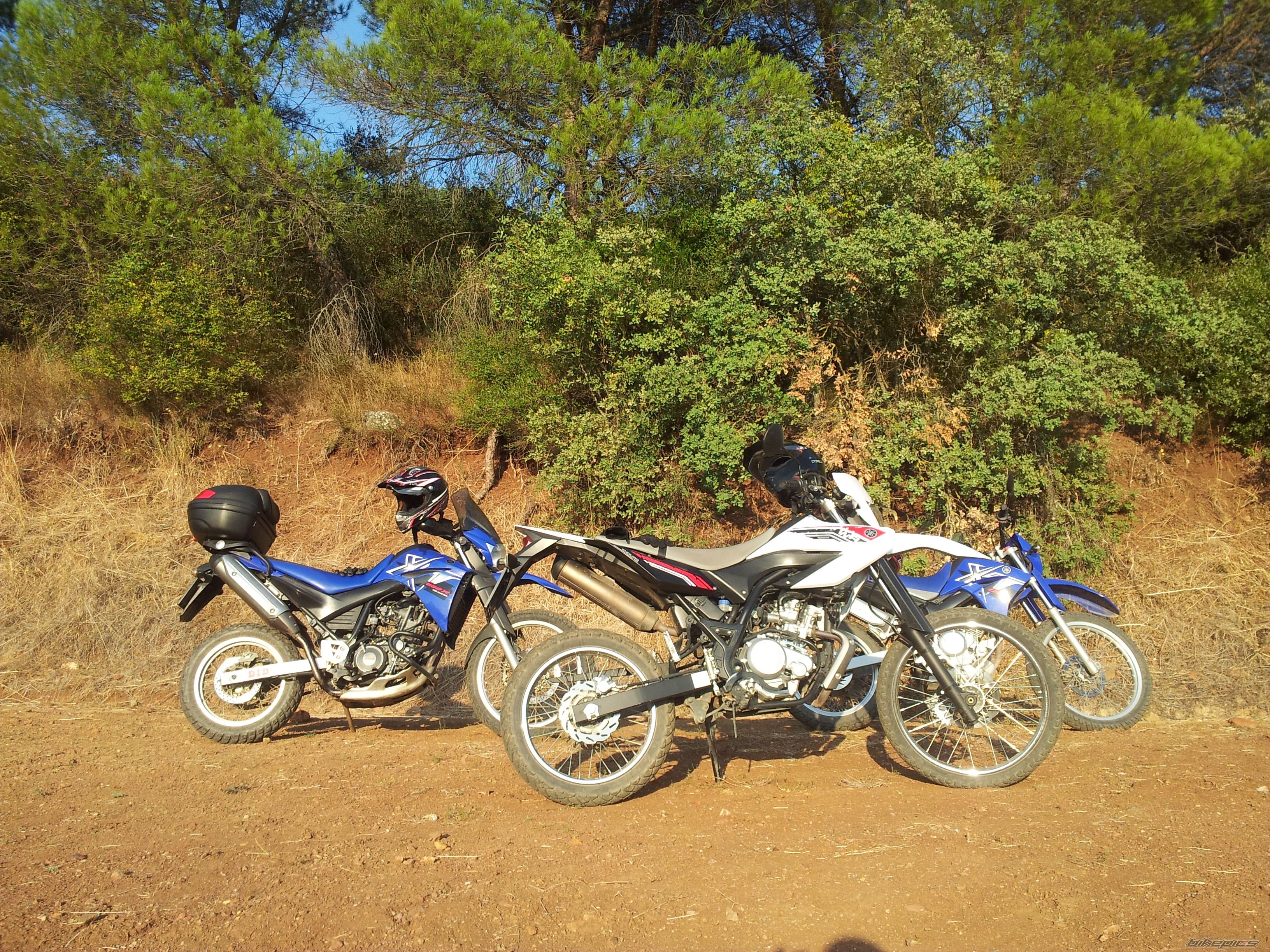2007 YAMAHA XT660R | Picture 2465333 motorcycle photo