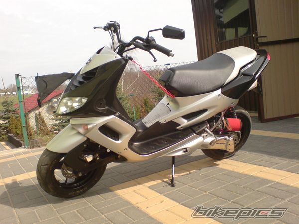 2005 PEUGEOT SPEEDFIGHT2 50 | Picture 2465584 motorcycle photo