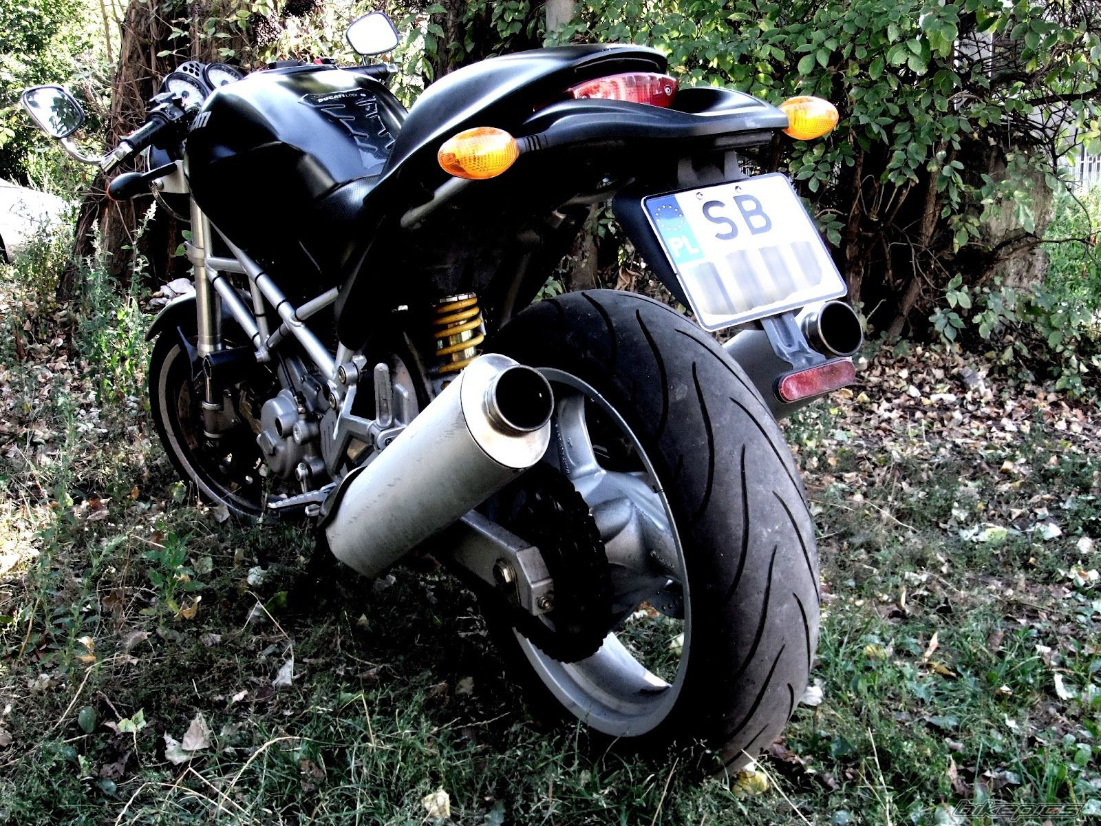 2002 DUCATI MONSTER 620 | Picture 2465666 motorcycle photo