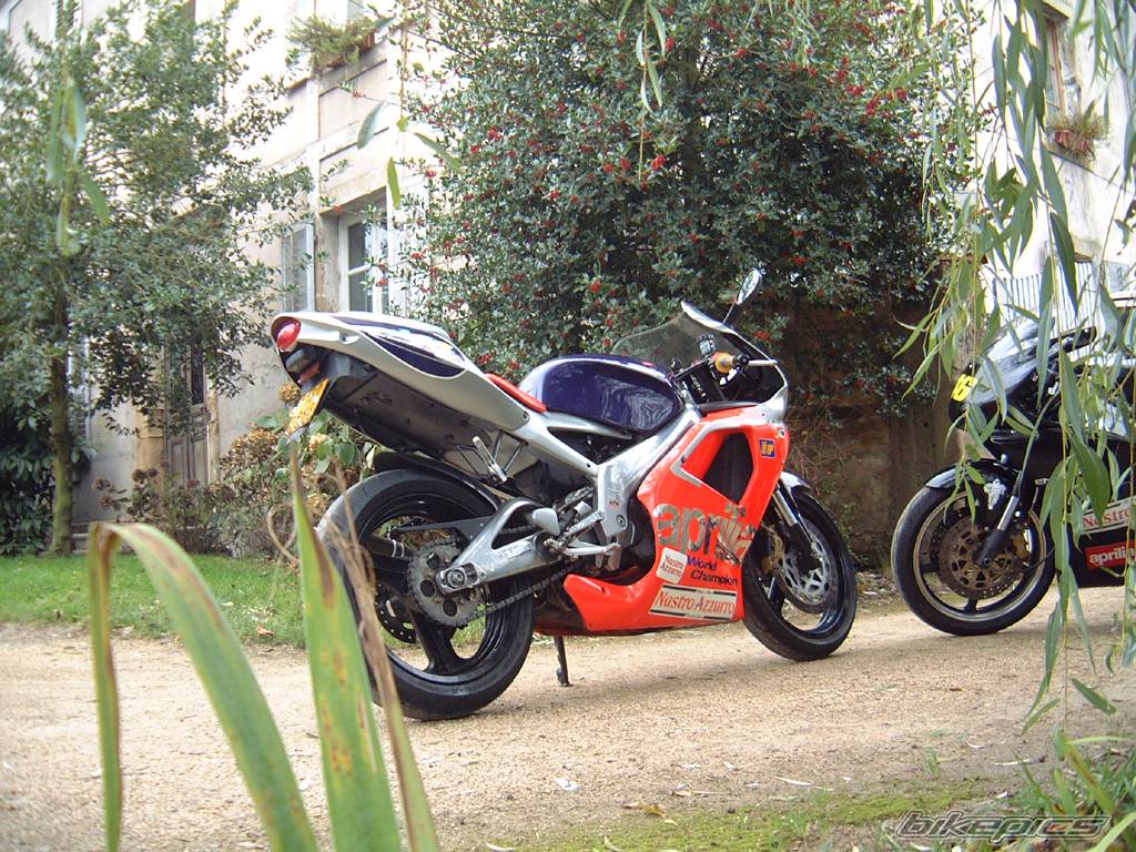 1998 APRILIA RS 125 | Picture 246635 motorcycle photo