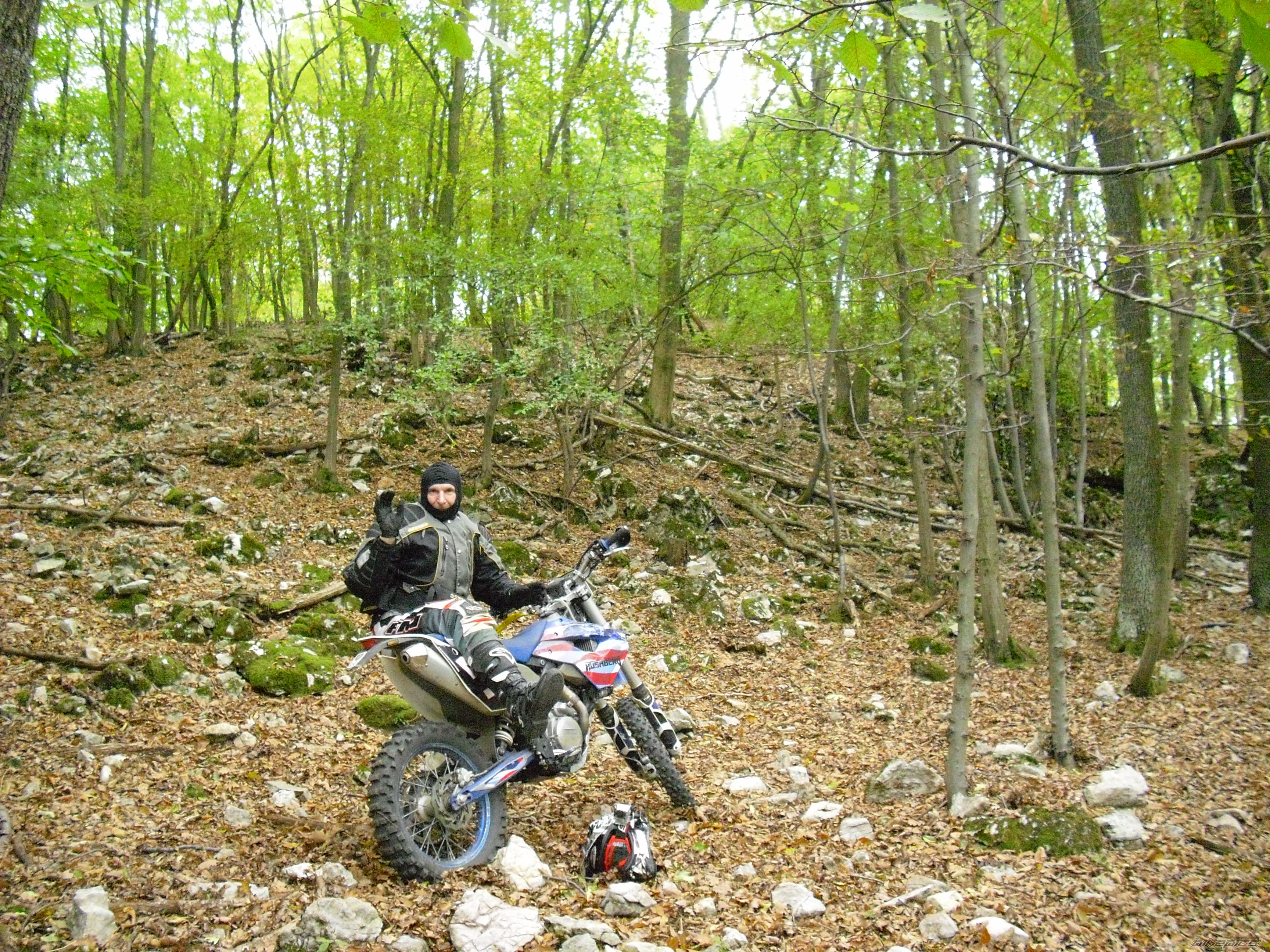 2009 HUSABERG FE 450 E | Picture 2466395 motorcycle photo
