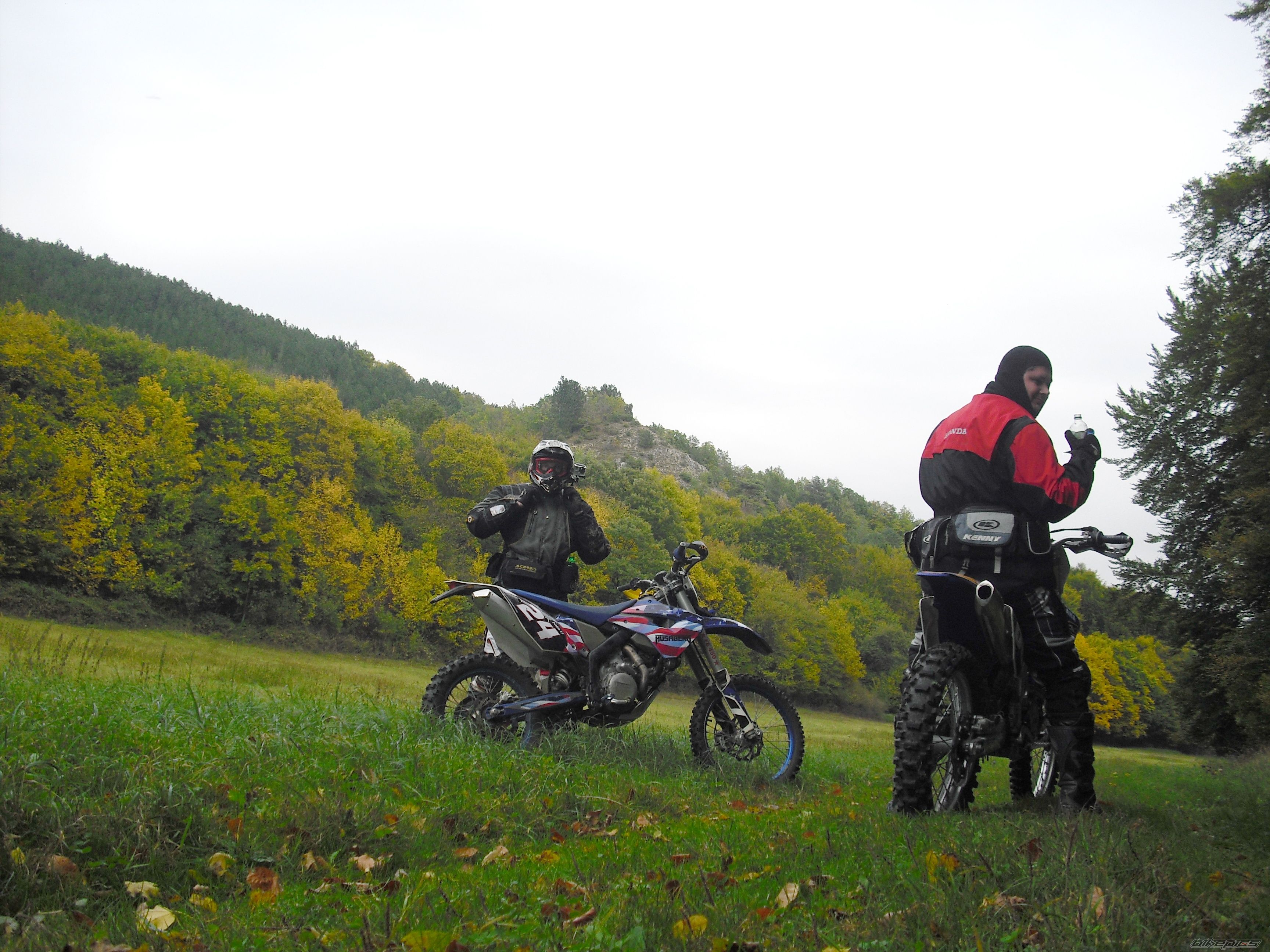 2009 HUSABERG FE 450 E | Picture 2466397 motorcycle photo