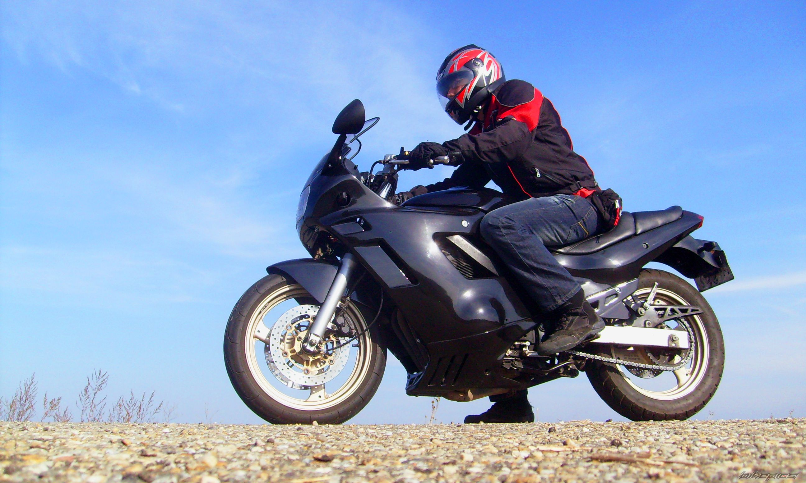 1995 SUZUKI GSX 600 F | Picture 2466748 motorcycle photo