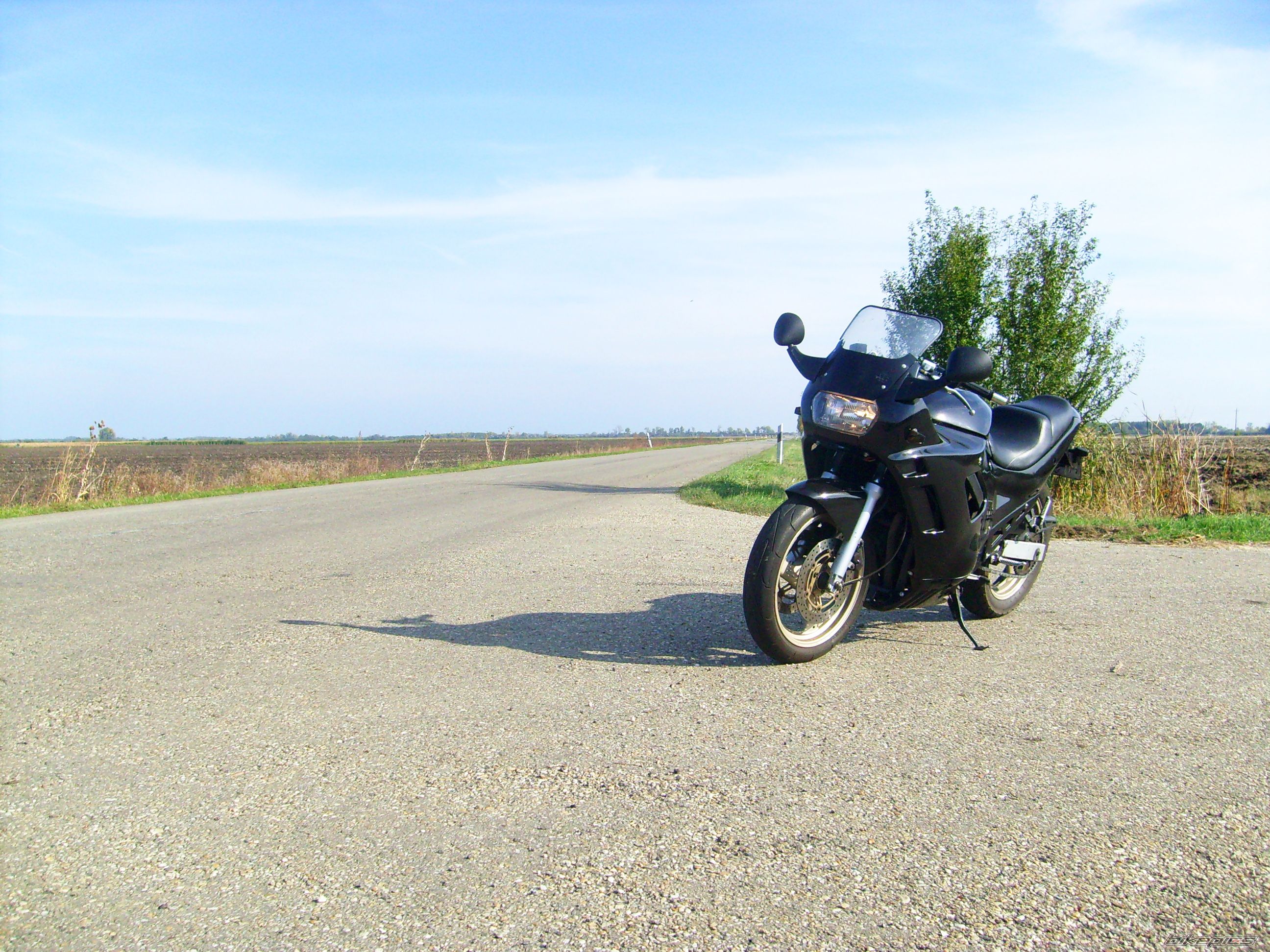 1995 SUZUKI GSX 600 F | Picture 2466750 motorcycle photo