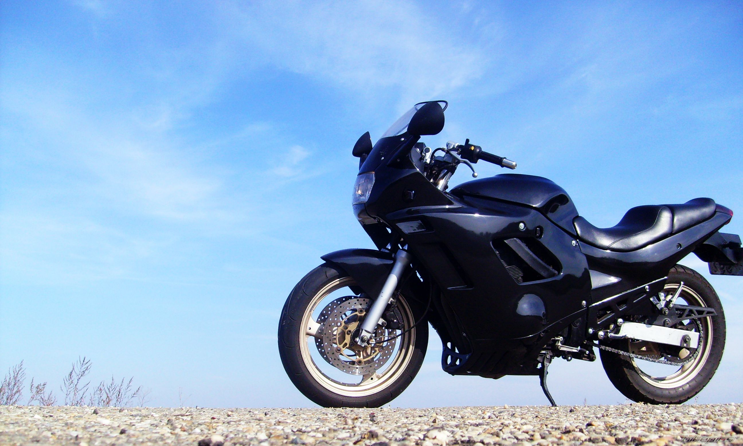 1995 SUZUKI GSX 600 F | Picture 2466751 motorcycle photo