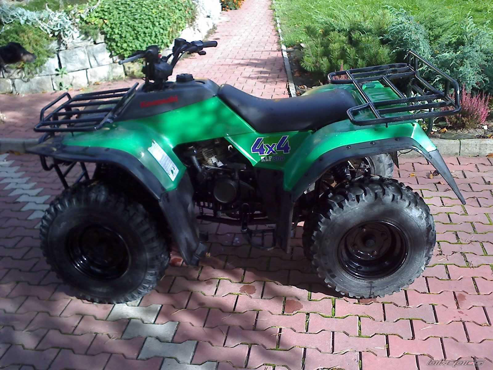 1998 KAWASAKI BAYOU 300 | Picture 2467029 motorcycle photo