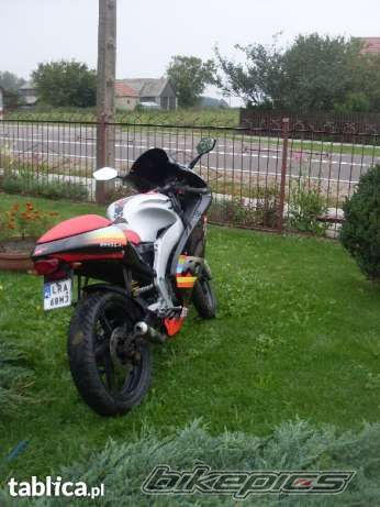 2002 APRILIA RS 50 | Picture 2467333 motorcycle photo