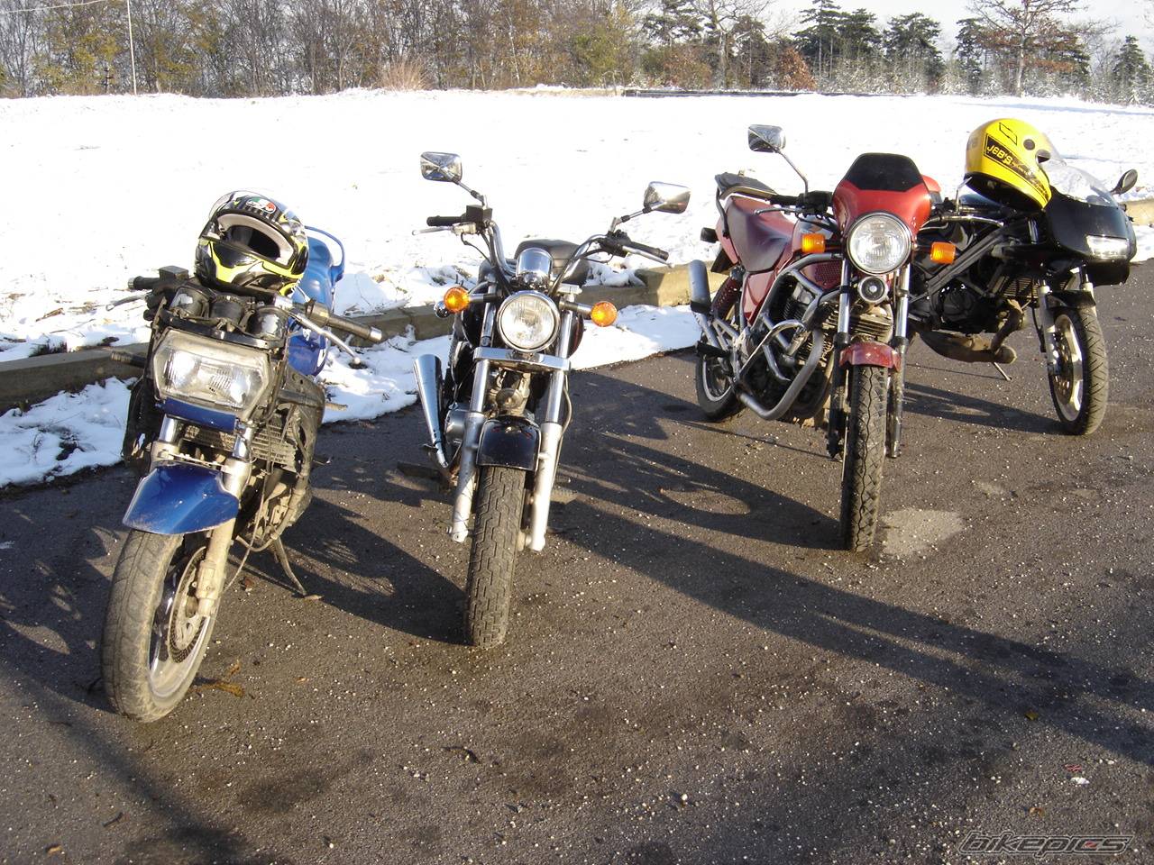 1987 HONDA CB 450 | Picture 246760 motorcycle photo